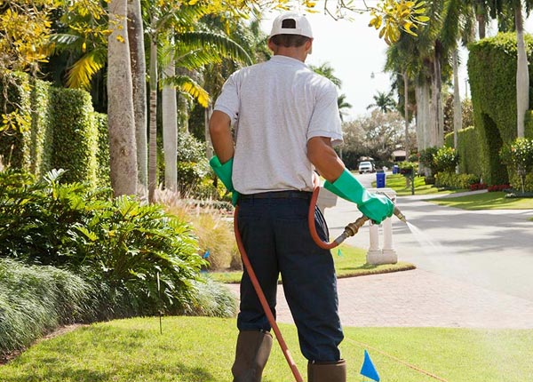 About Archer IA Pest Control
